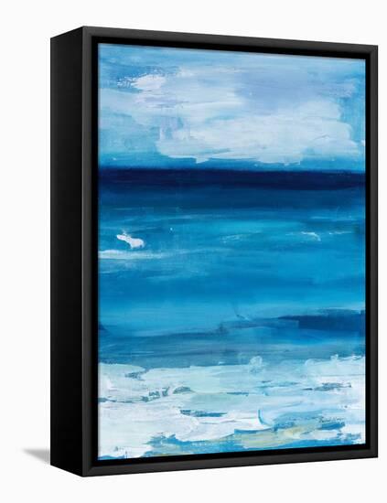 Ocean Life-Pamela Munger-Framed Stretched Canvas