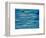 Ocean, Maldives-Stuart Westmorland-Framed Photographic Print