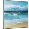 Ocean Movement I-Emily Robinson-Mounted Photographic Print