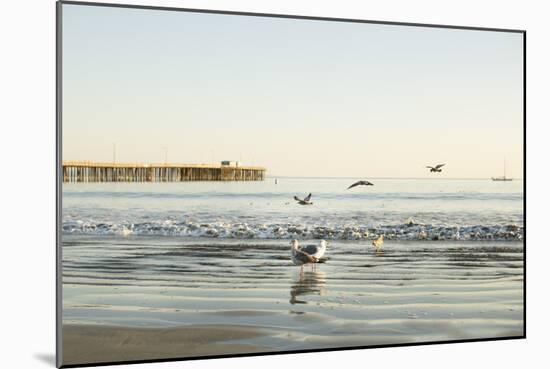 Ocean Pier-Karyn Millet-Mounted Photographic Print