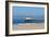 Ocean Pier-Alex Williams-Framed Photo