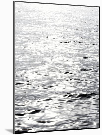 Ocean reflection-Savanah Plank-Mounted Photographic Print