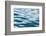 Ocean ripples, Van Dyks Bay. Western Cape Province, South Africa.-Keren Su-Framed Photographic Print