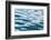 Ocean ripples, Van Dyks Bay. Western Cape Province, South Africa.-Keren Su-Framed Photographic Print