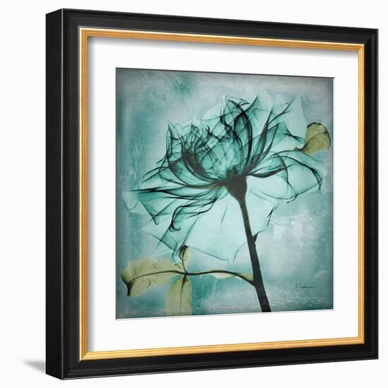 Ocean Rose 2-Albert Koetsier-Framed Art Print