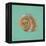 Ocean's Gift I-Tiffany Hakimipour-Framed Stretched Canvas