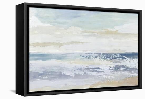 Ocean Salt-Tom Reeves-Framed Stretched Canvas