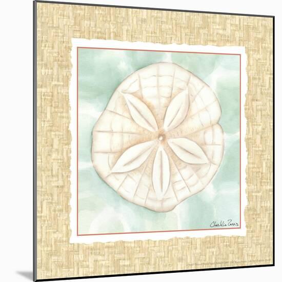 Ocean Sanddollar-Chariklia Zarris-Mounted Art Print