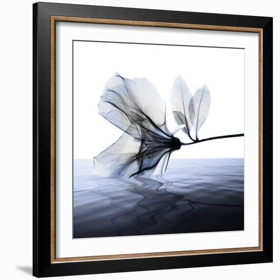 Ocean Scent 1-Albert Koetsier-Framed Photographic Print