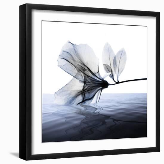Ocean Scent 1-Albert Koetsier-Framed Photographic Print