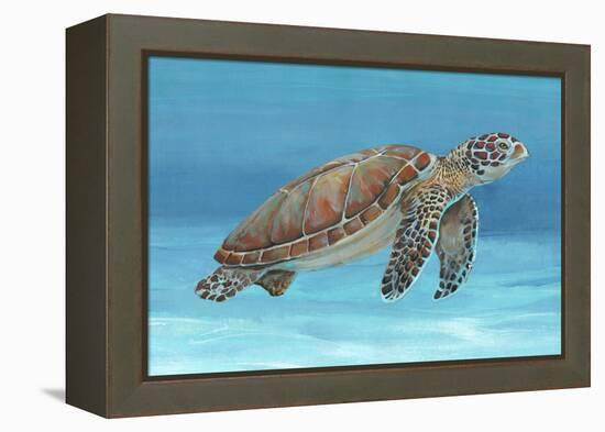 Ocean Sea Turtle I-Tim O'toole-Framed Stretched Canvas