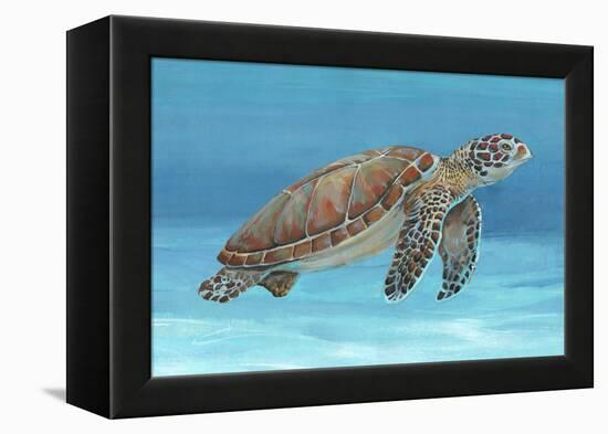 Ocean Sea Turtle I-Tim O'toole-Framed Stretched Canvas