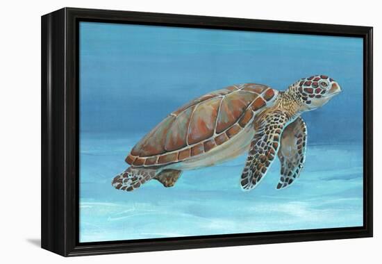 Ocean Sea Turtle I-Tim O'toole-Framed Stretched Canvas