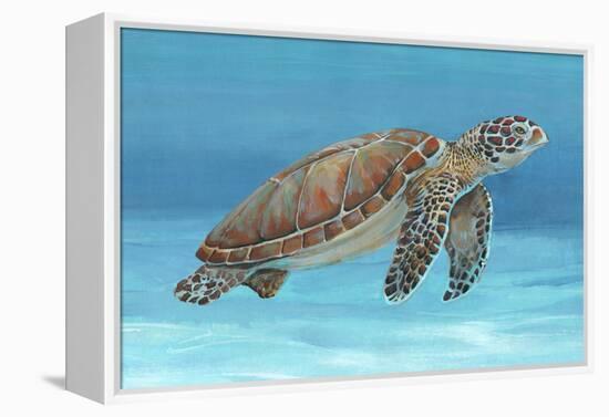 Ocean Sea Turtle I-Tim O'toole-Framed Stretched Canvas