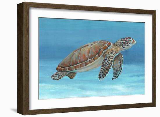 Ocean Sea Turtle I-Tim O'toole-Framed Premium Giclee Print