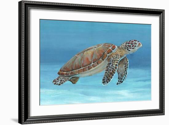 Ocean Sea Turtle I-Tim O'toole-Framed Art Print