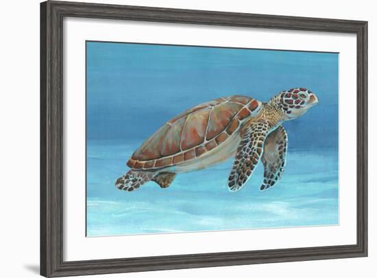 Ocean Sea Turtle I-Tim O'toole-Framed Art Print