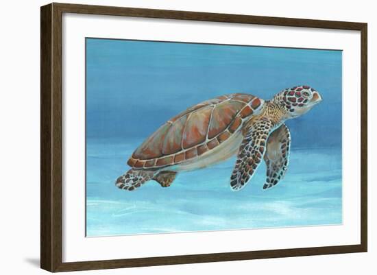 Ocean Sea Turtle I-Tim O'toole-Framed Art Print