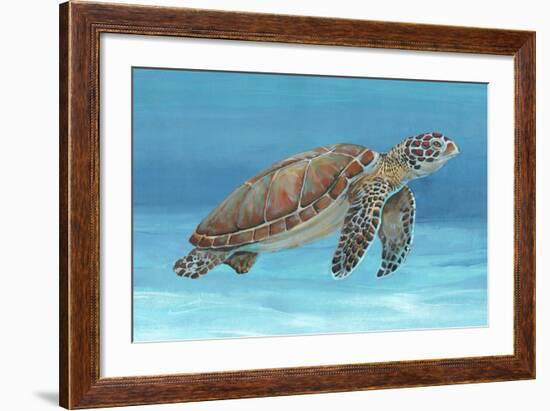 Ocean Sea Turtle I-Tim O'toole-Framed Art Print