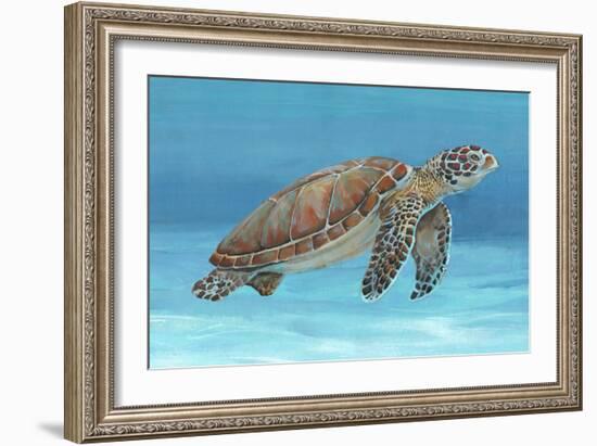 Ocean Sea Turtle I-Tim O'toole-Framed Art Print