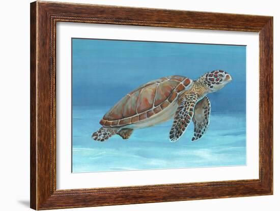 Ocean Sea Turtle I-Tim O'toole-Framed Art Print