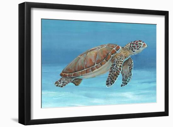 Ocean Sea Turtle I-Tim O'toole-Framed Art Print