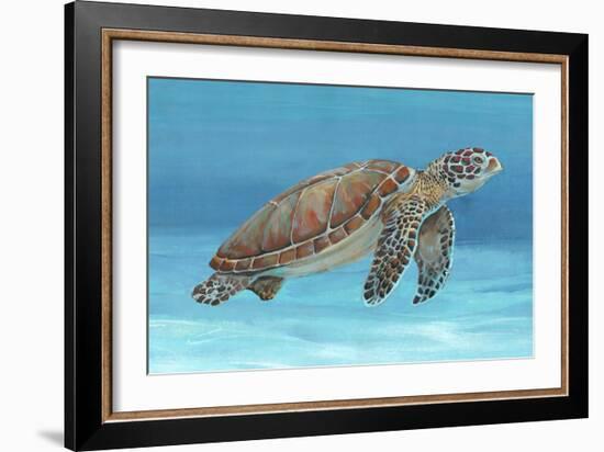 Ocean Sea Turtle I-Tim O'toole-Framed Art Print