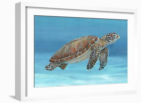 Ocean Sea Turtle I-Tim O'toole-Framed Art Print