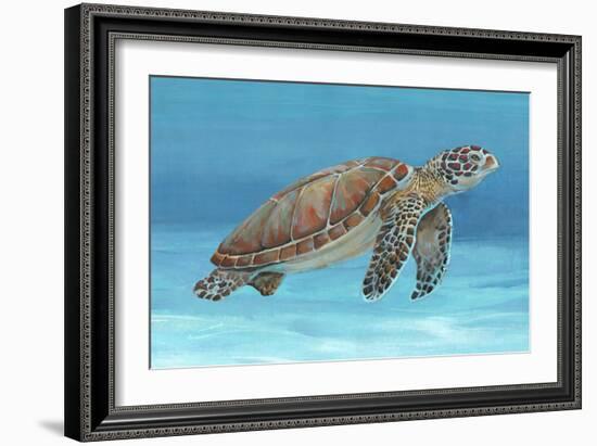 Ocean Sea Turtle I-Tim O'toole-Framed Art Print