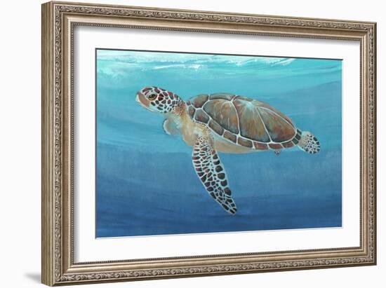 Ocean Sea Turtle II-Tim O'toole-Framed Art Print