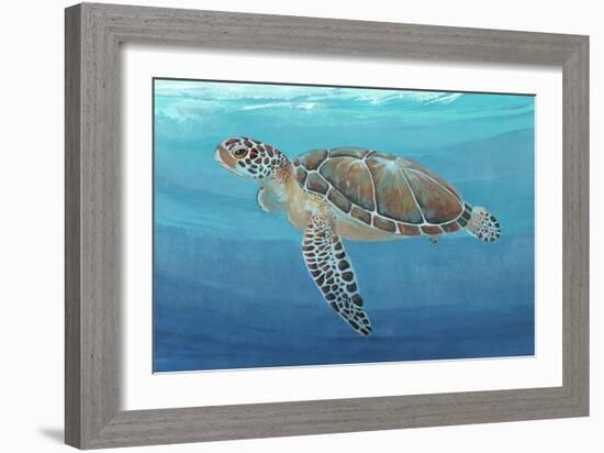 Ocean Sea Turtle II-Tim O'toole-Framed Art Print