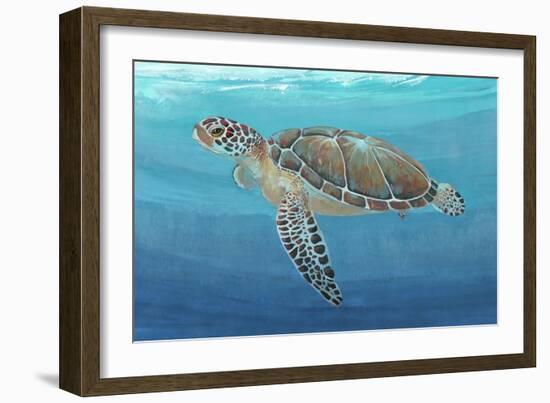 Ocean Sea Turtle II-Tim O'toole-Framed Art Print