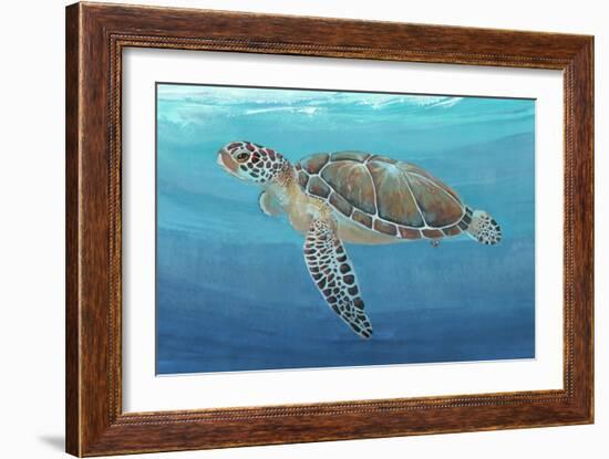 Ocean Sea Turtle II-Tim O'toole-Framed Art Print