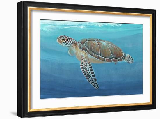 Ocean Sea Turtle II-Tim O'toole-Framed Art Print