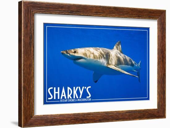 Ocean Shores, Washington - Great White Shark-Lantern Press-Framed Art Print