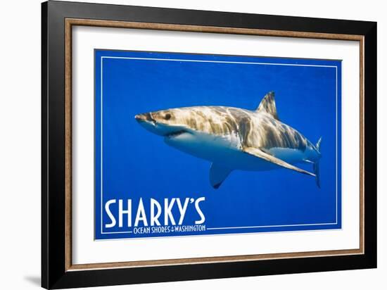 Ocean Shores, Washington - Great White Shark-Lantern Press-Framed Art Print