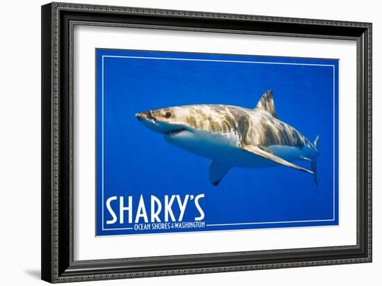 Ocean Shores, Washington - Great White Shark-Lantern Press-Framed Art Print