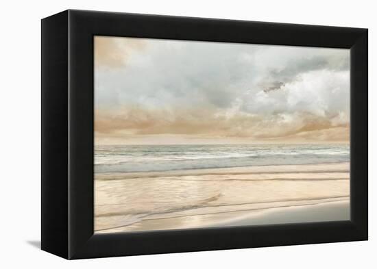 Ocean Tide-John Seba-Framed Stretched Canvas