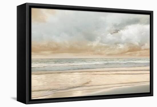 Ocean Tide-John Seba-Framed Stretched Canvas