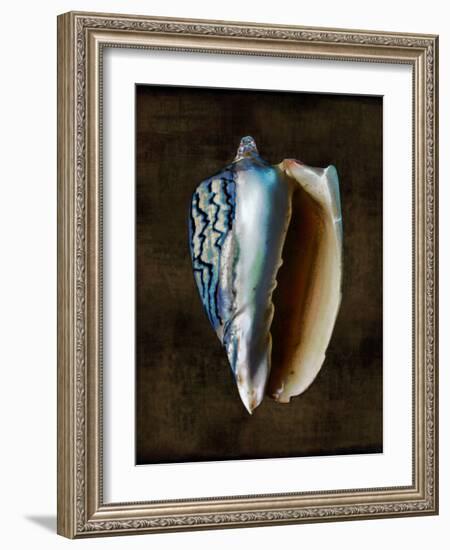 Ocean Treasure I-Caroline Kelly-Framed Art Print