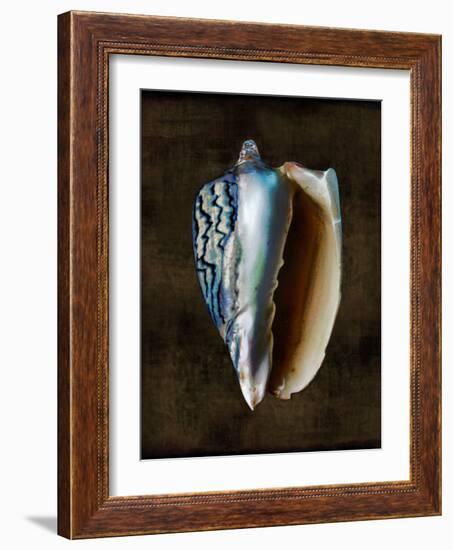 Ocean Treasure I-Caroline Kelly-Framed Art Print