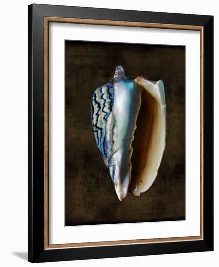 Ocean Treasure I-Caroline Kelly-Framed Art Print