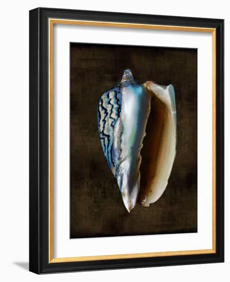 Ocean Treasure I-Caroline Kelly-Framed Art Print