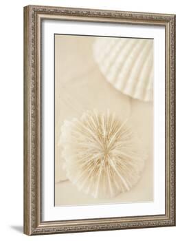 Ocean Treasures I-Karyn Millet-Framed Photographic Print