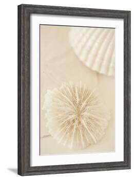 Ocean Treasures I-Karyn Millet-Framed Photographic Print