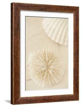 Ocean Treasures I-Karyn Millet-Framed Photographic Print
