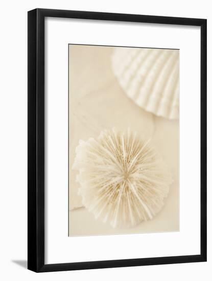 Ocean Treasures I-Karyn Millet-Framed Photographic Print