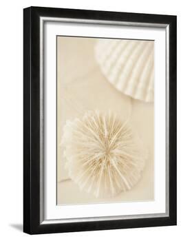 Ocean Treasures I-Karyn Millet-Framed Photographic Print