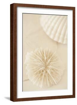 Ocean Treasures I-Karyn Millet-Framed Photographic Print