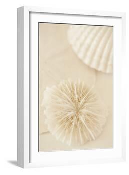 Ocean Treasures I-Karyn Millet-Framed Photographic Print